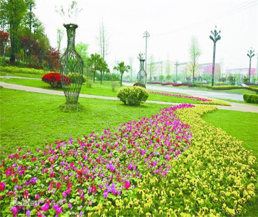 綠化養(yǎng)護(hù)